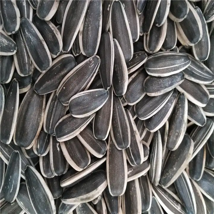 How long is the shelf life of sunflower seeds?