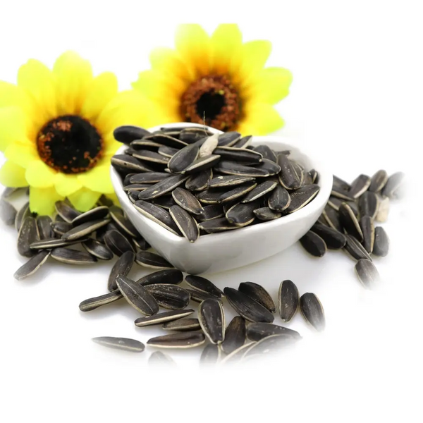 Are sunflower seeds a healthy snack?