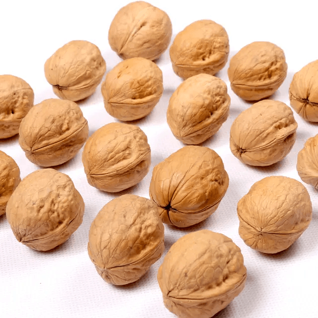 Xinjiang 185 walnuts are very popular