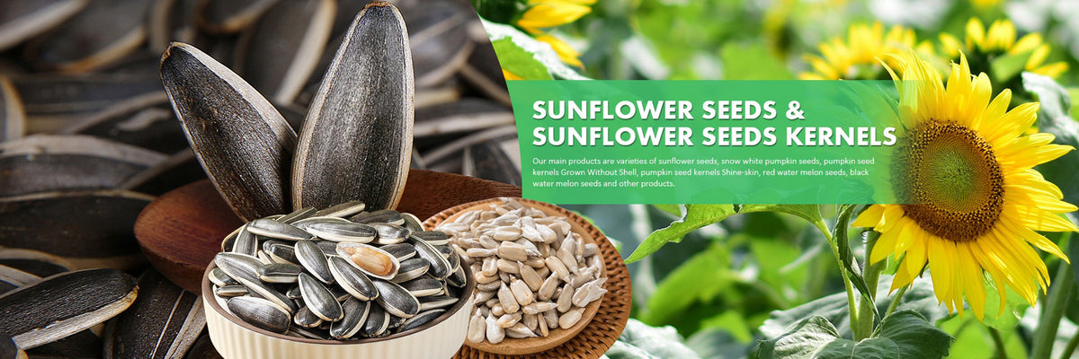 professional wholesale sunflower seed, roasted sunflower seed, walnut, pumpkin seed production factory from Inner Mongolia