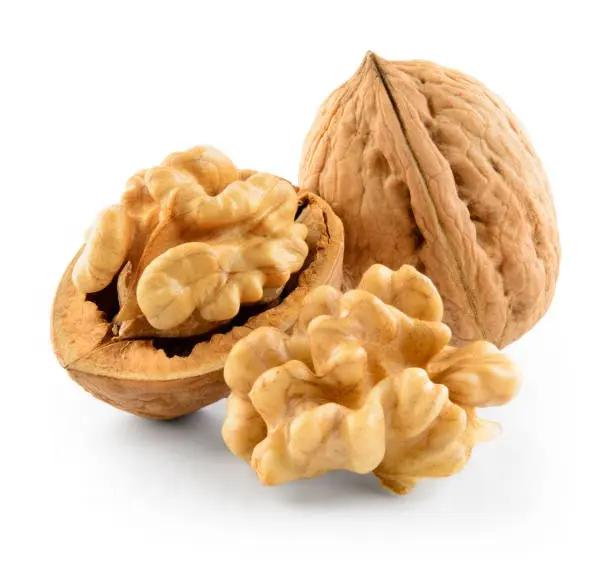 Organic Walnuts, Chandler Variety | Fresh | Light Color