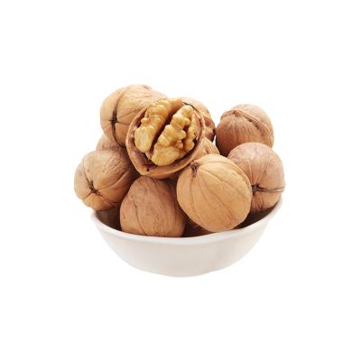 185 skin shell walnut
