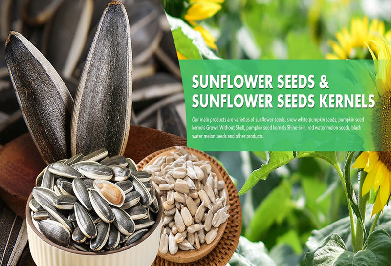Inner Mongolia Wholesale Chinese Non GMO High Quality Good Price Organic Raw 5009 Sunflower Kernels Seeds