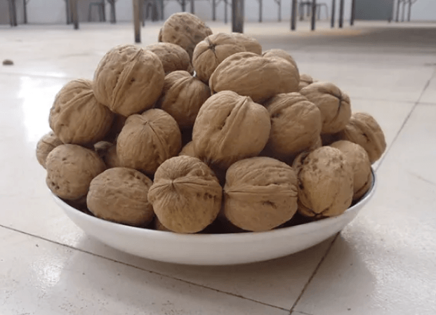 Walnuts In Shell Raw Walnuts Fresh and Easy to Crack Excellent TastePacked in Resealable Bag