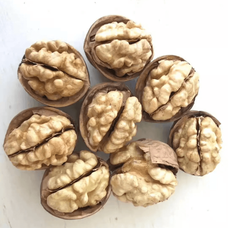 Walnuts In Shell Raw Walnuts Fresh and Easy to Crack Excellent TastePacked in Resealable Bag