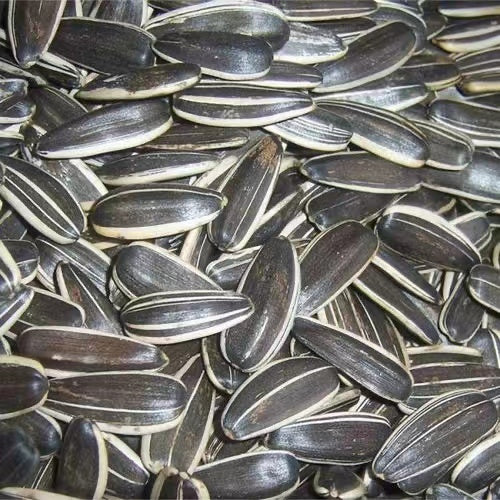 Whole Sunflower Seed in Shell Essential Vitamins & Minerals | Healthy Superfood Snack Vegan, Non GMO, Gluten Free, Stellar Selenium, Mighty Magnesium