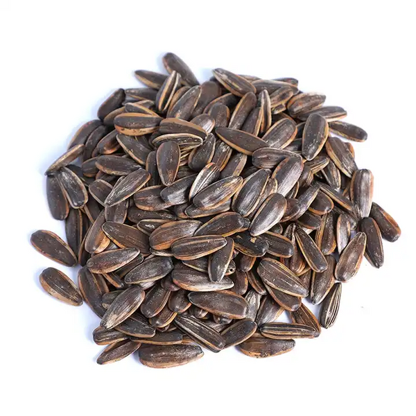 AL SHAEB Roasted & Salted Sunflower Seeds (In Shell), Fresh, and Delicious, Roasted by The #1 Roaster in Jordan