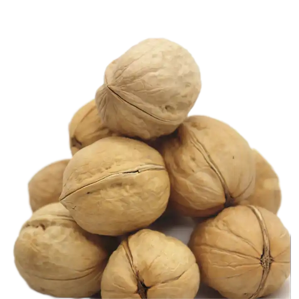 China origin wholesale walnuts with shell