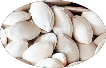 Factory Supply Raw Top Grade Pumpkin Seeds High quality and low price