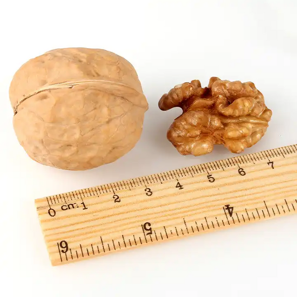 Zeina Raw Walnut Halves (500g) - Naturally Gluten Free Vegan Approved Low Sugar Walnut Halves, Premium Healthy Nut Snacks,