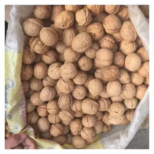 Top Quality Export Walnut Best Price Raw Dry Fruits Washed Walnuts
