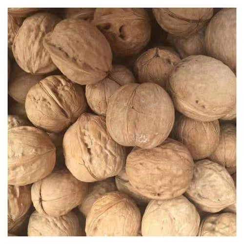 Top Quality Export Walnut Best Price Raw Dry Fruits Washed Walnuts