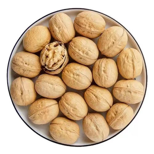Top Quality Export Walnut Best Price Raw Dry Fruits Washed Walnuts