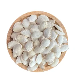 Non GMO Hybrid Mega Bulk Large Size Snow White Pumpkin Seeds Wholesale China Sunflower Seeds Raw Material for Oil Extraction