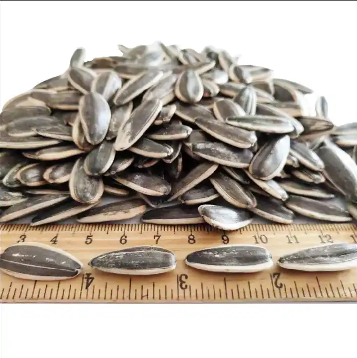 Bodrum Roasted Salted Black Sunflower Seeds | High Rich and Nutty Flavour | Salted Seeds | Delicious and Satisfying Snacks