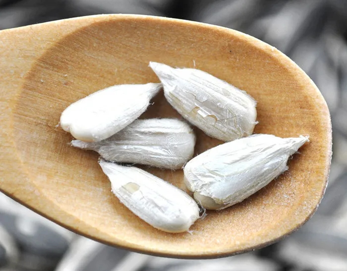 OEM ODM China Li Niu Niu Food Factory wholesale Chinese Non GMO High Quality Good Price Organic Raw 363 Sunflower Seeds kernels