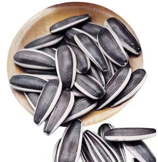 Raw Materials Price factory Supply China raw sunflower seeds ready for loading
