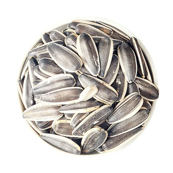Sunflower Seeds From Inner Mongolia Factory direct High quality T5 sunflower seeds to eat