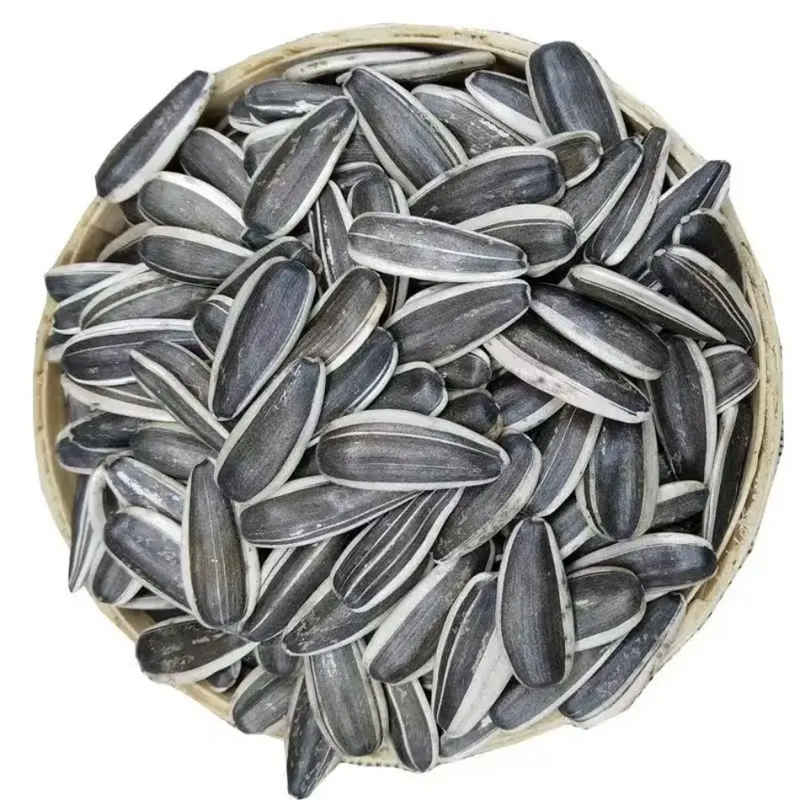 Sunflower Seeds From Inner Mongolia Factory direct High quality T5 sunflower seeds to eat