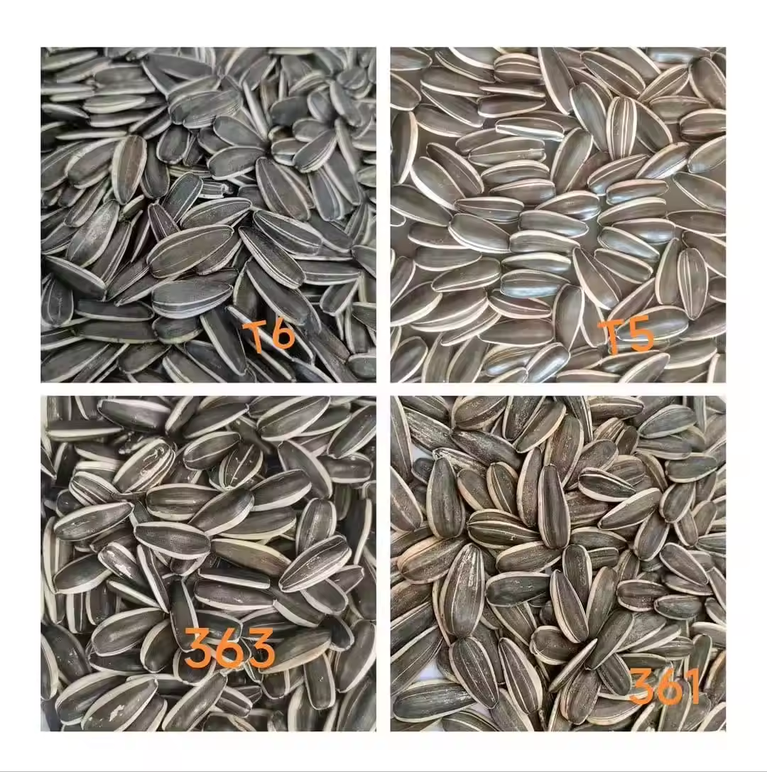 Wholesale China Non-GMO Best Quality Cheap Price Organic Raw Materials raw sunflower seeds
