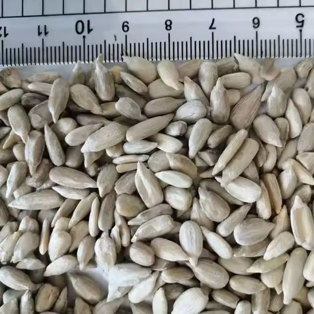 Factory Wholesale Cheap Price Hulled Confectionary Bakery y Grade High Quality Sunflower Seeds Kernels