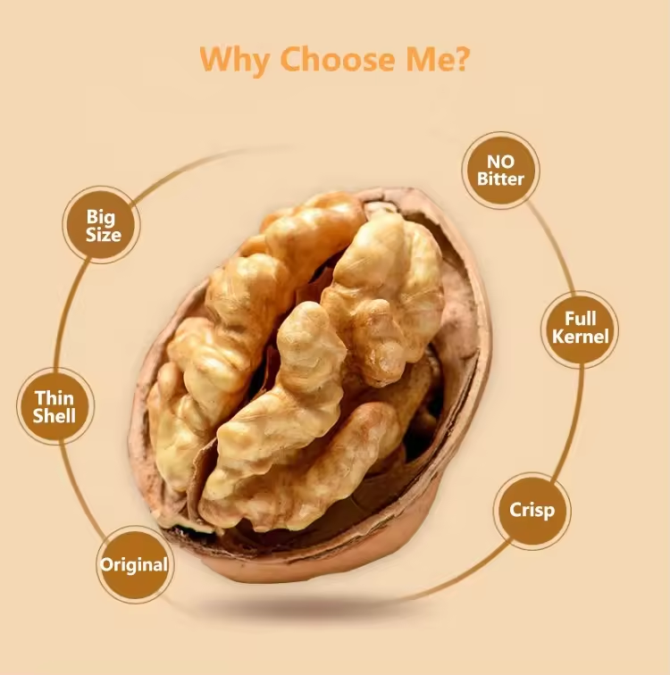 Raw Walnuts in Shell Resealable Bulk Bag for Ultimate Freshness Whole Walnuts for a Healthy Snacka