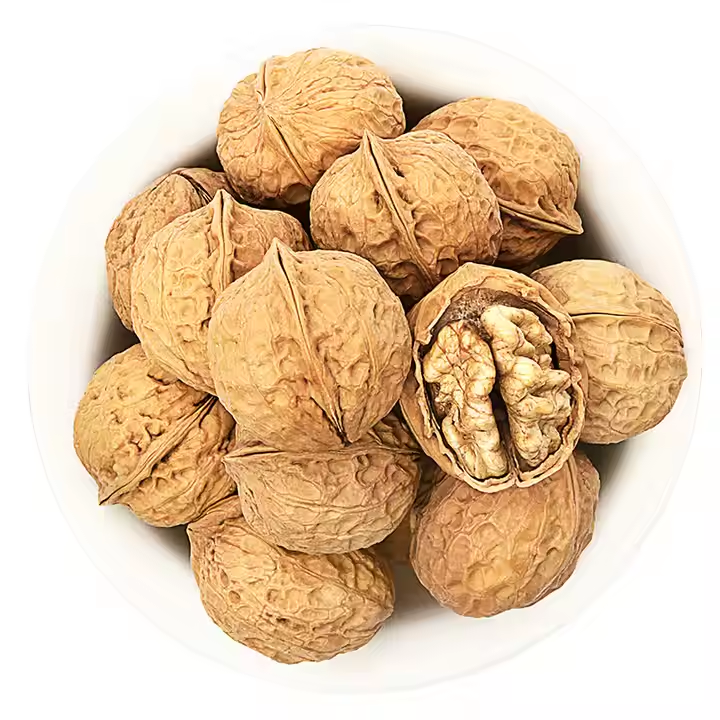 Raw Walnuts in Shell Resealable Bulk Bag for Ultimate Freshness Whole Walnuts for a Healthy Snacka