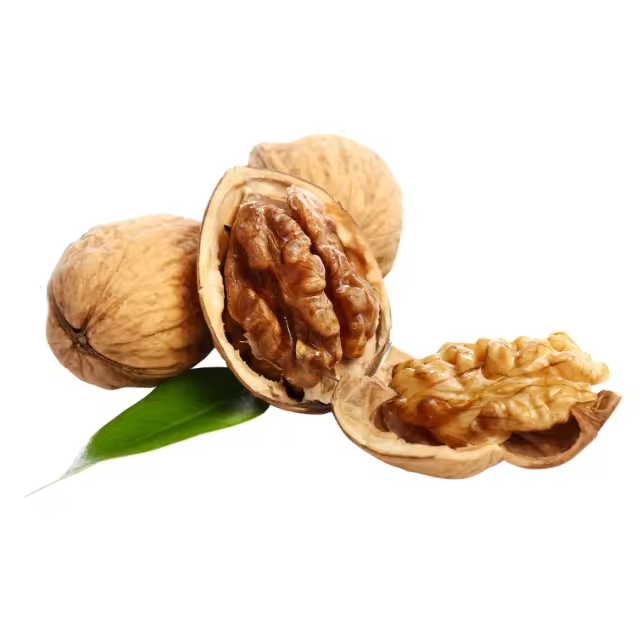 Raw Walnuts in Shell Resealable Bulk Bag for Ultimate Freshness Whole Walnuts for a Healthy Snacka