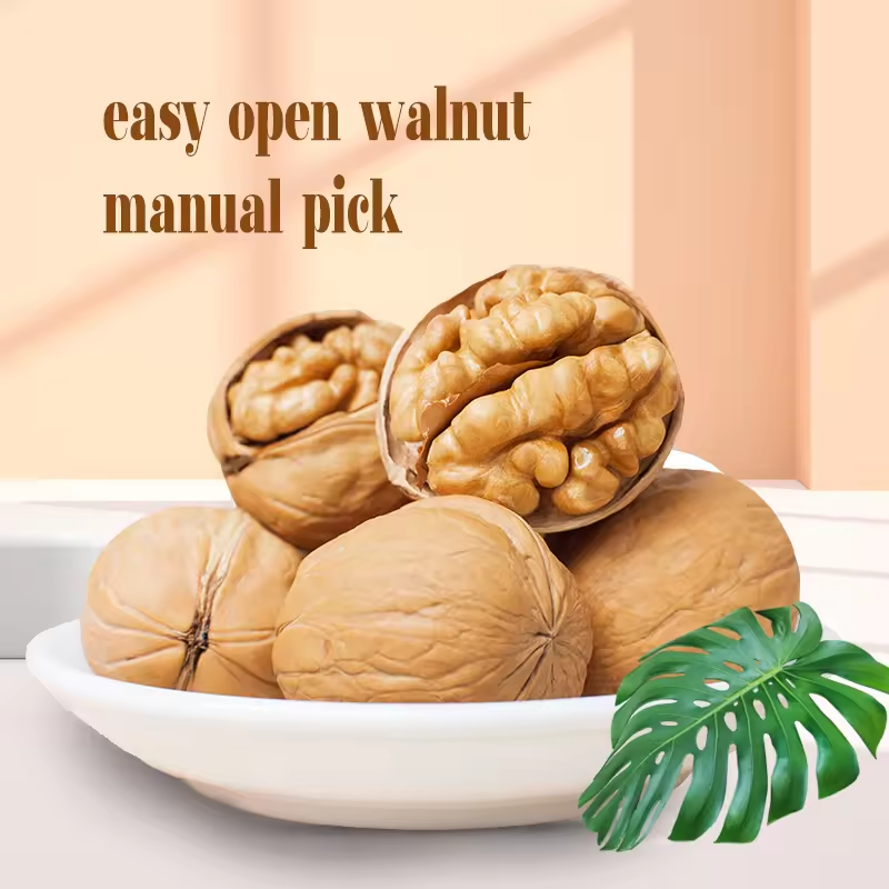 Raw Walnuts in Shell Resealable Bulk Bag for Ultimate Freshness Whole Walnuts for a Healthy Snacka