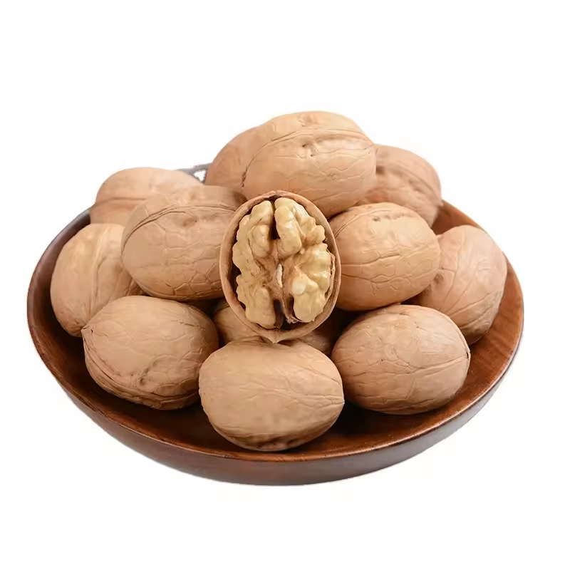 New Crop Organic Bulk Wholesale Paper Walnut China Top Nuts and Dried Fruits Raw Paper Dried Garcinia Fruit 3% Max 5%
