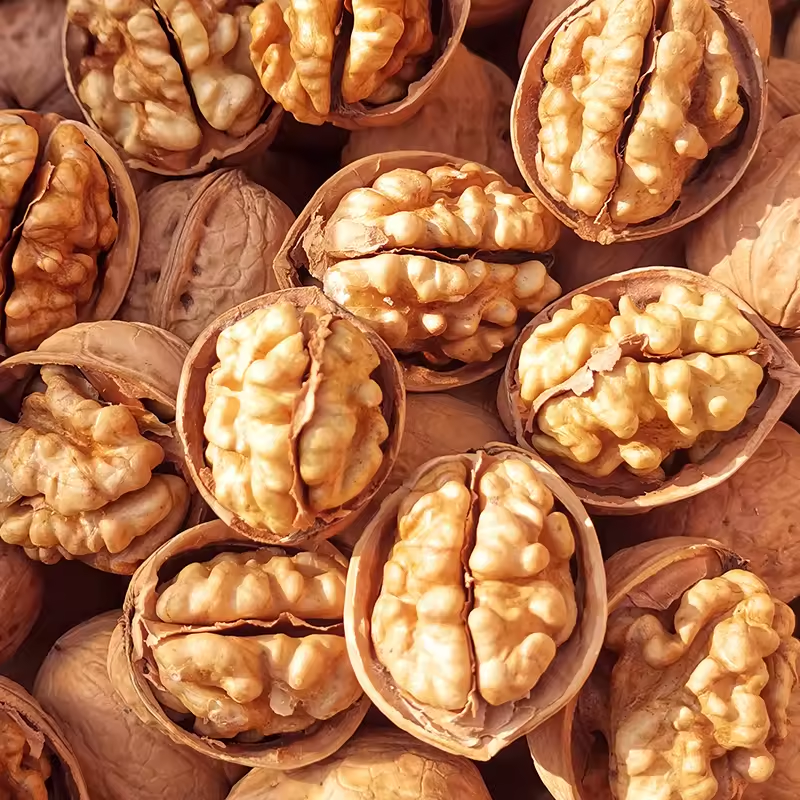 Walnut Kernels Dried Walnuts in Bulk 100% Natural Eat Ready-to-eat Products