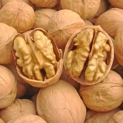OEM ODM China Li Niu Niu Food Factory wholesale Raw Top Grade walnuts High quality and low price