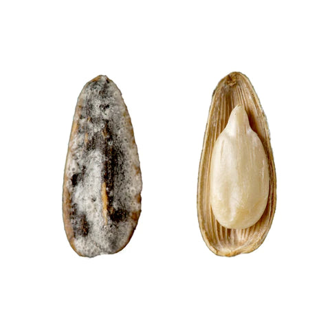 Roasted & Sea Salted Sunflower Seeds