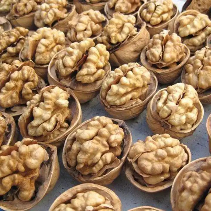 Walnuts In-shell (Whole)