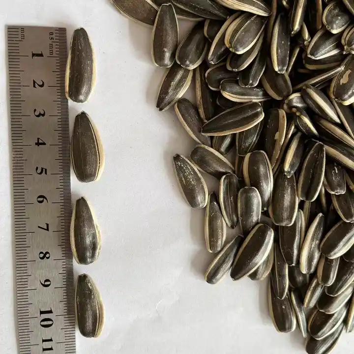 China Inner Mongolia high quality raw sunflower seeds 363 accept OEM ODM 25kg Amazon’s best-selling products