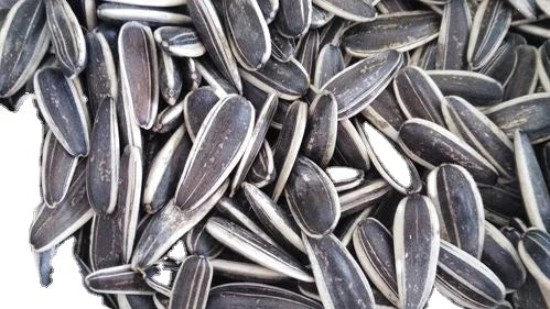 Certified Organic Seeds Natural Source of Vitamins & Minerals - Raw - 100% Non GMO, Vegan, Gluten Free