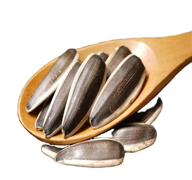 Sunflower Seeds, Roasted and Salted Original Jumbo Sunflower Seeds, 5.25 oz - Pack of 2 (10.5 oz in total)