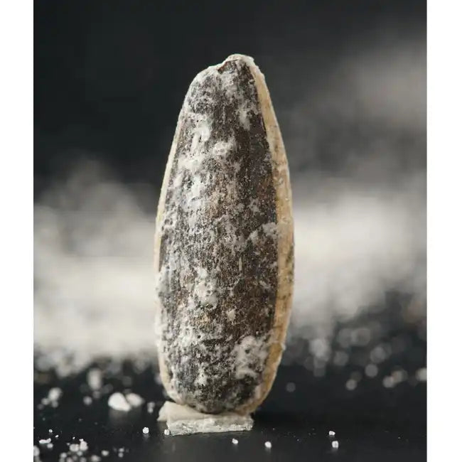 MIXED NUTS Roasted Sunflower Seeds Original Lightly Salted Sunflower Seed In-Shell with Sea Salt Non GMO Gluten Free Snack Vegan KETO Friendly Snacks Low Carb Snack