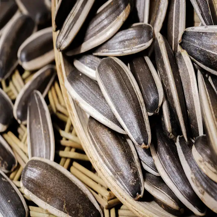 Sunflower Seeds, Roasted and Salted Original Jumbo Sunflower Seeds