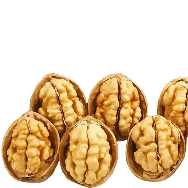 Walnuts in Shell, Jumbo, Fresh, Buttery Taste, Easy to Crack, California Chandler, Natural Shells, Not Bleached