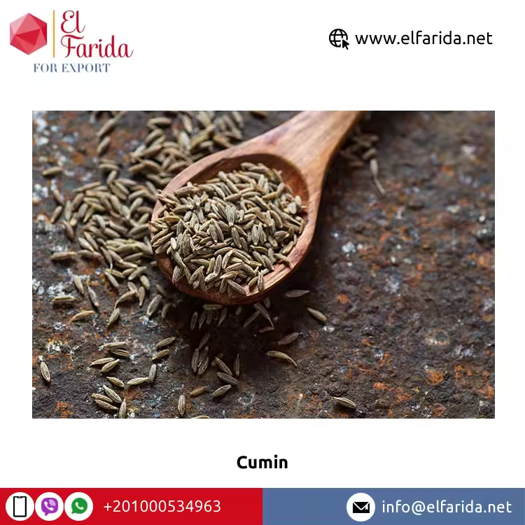From China Li Niu Niu Food Factory wholesale Top Quality Export  Best Price whole cumin seeds