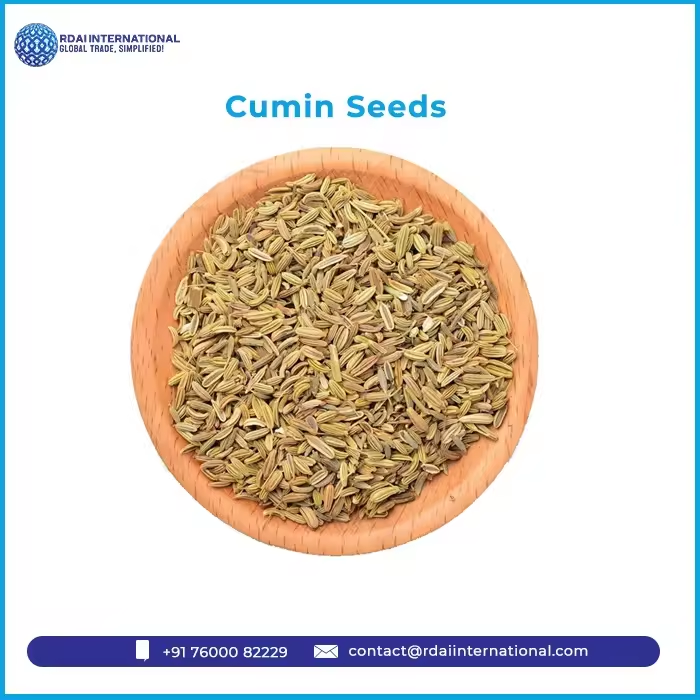 Wholesale Single spices and herbs raw cumin food seasoning condiment rich fragrance dried cumin seed
