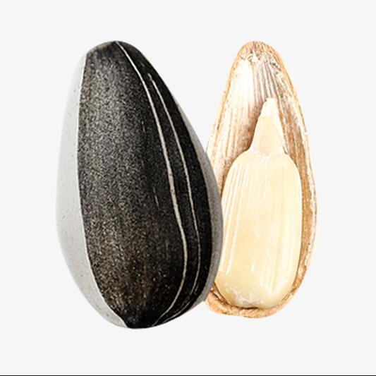 Original Sunflower Seeds