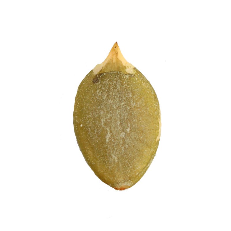 2022 corp pumpkin seeds and pumpkin seeds kernels with cheap price form China factory - Lnnuts