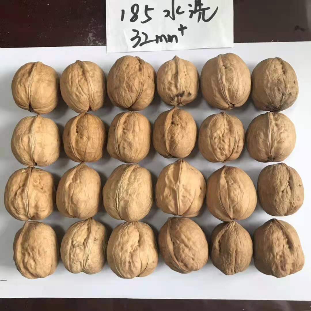 Bulk Paper Shell Walnut Kernels In Shell Natural Color XinFu Kernel Xinjiang Dry Fruits - Lnnuts