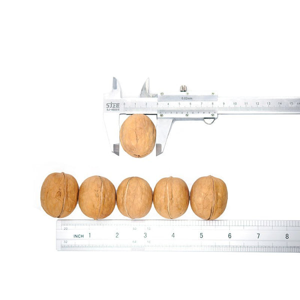 High Quality Best Price Wholesale Factory xinjiang Thin Skin 185 walnut 32mm+ - Lnnuts