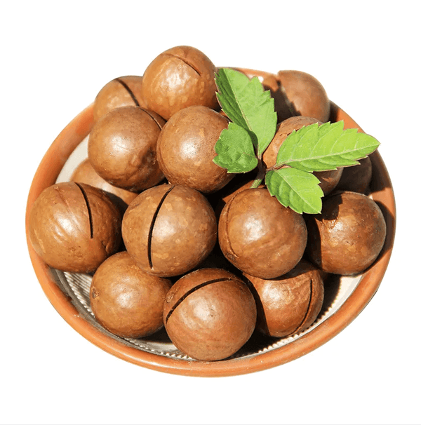 Macadamia Nuts Kernel Natural Delicious Macadamia Nuts Wholesale - Lnnuts