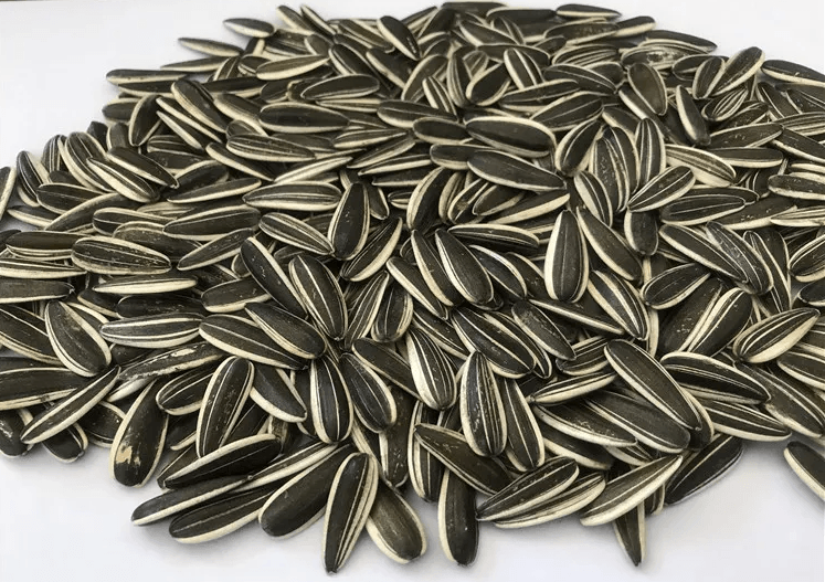 Wholesale Chinese Non GMO High Quality Good Price Roasted Sunflower Kernels Seeds - Lnnuts