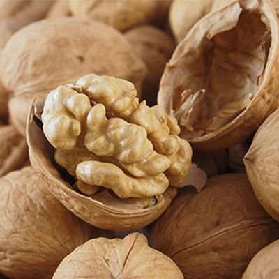 Current New Crop" In shell Hartley choice Nut, Number one quality - Packed in a 5 lbs