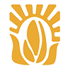 High quality sunflower seeds and nuts factory from China logo